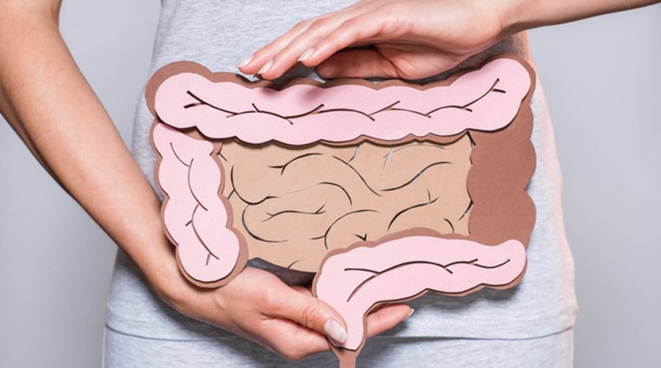 Everything you Need to Know About Digestive Wellness